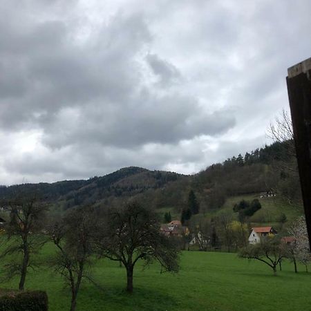 Petit Week End Dans La Vallee Breitenbach-Haut-Rhin 외부 사진