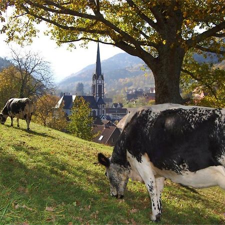 Petit Week End Dans La Vallee Breitenbach-Haut-Rhin 외부 사진