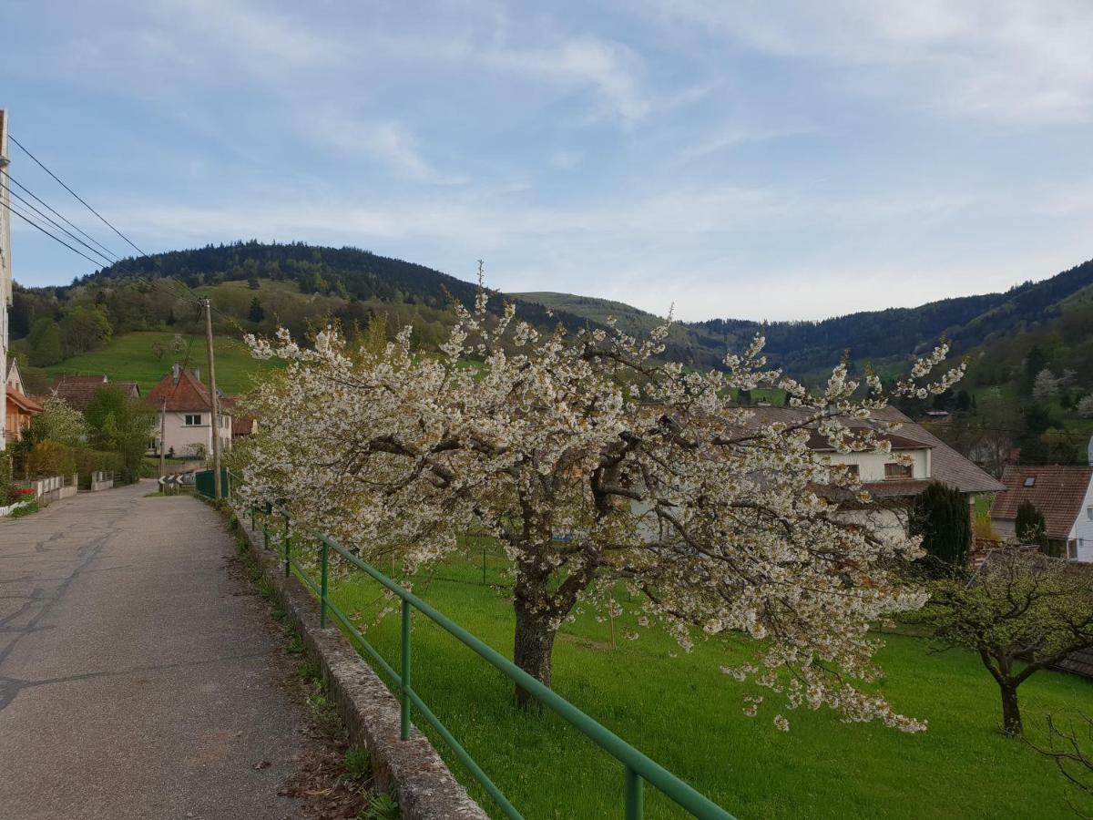 Petit Week End Dans La Vallee Breitenbach-Haut-Rhin 외부 사진