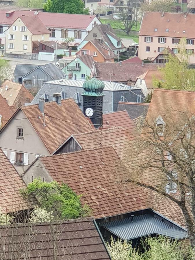 Petit Week End Dans La Vallee Breitenbach-Haut-Rhin 외부 사진
