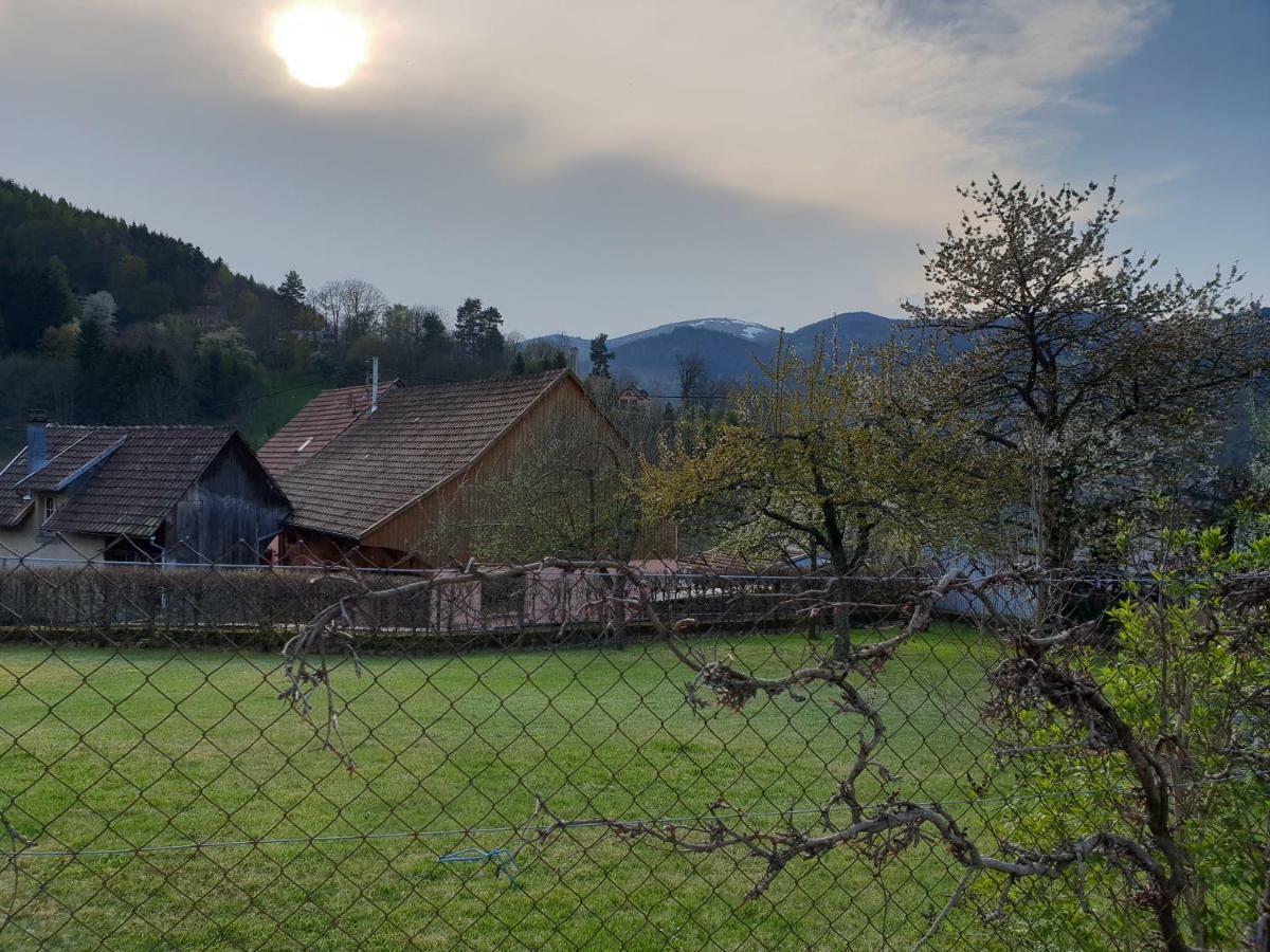 Petit Week End Dans La Vallee Breitenbach-Haut-Rhin 외부 사진