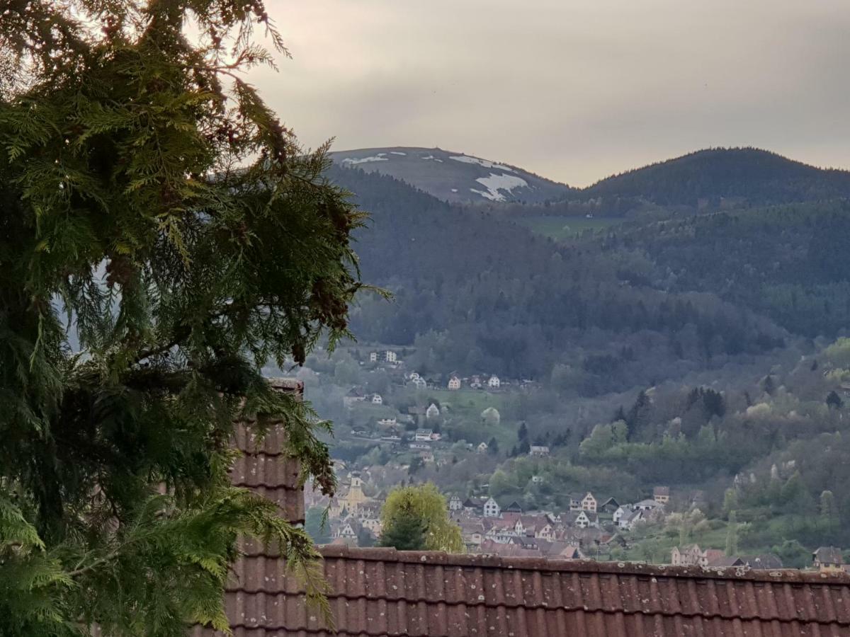 Petit Week End Dans La Vallee Breitenbach-Haut-Rhin 외부 사진