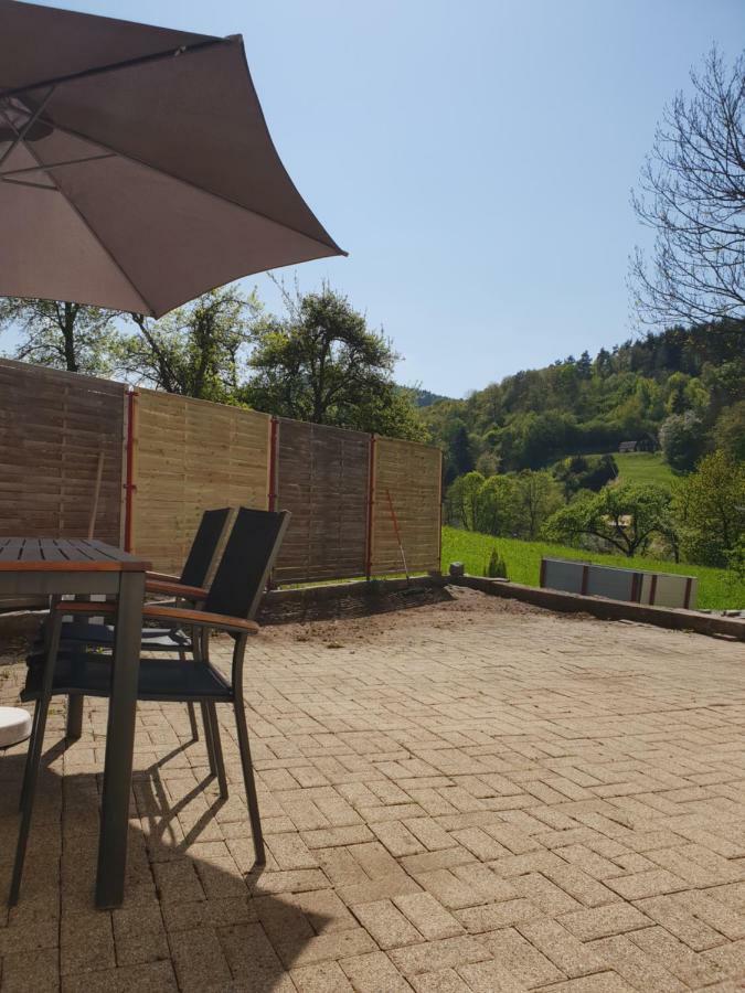 Petit Week End Dans La Vallee Breitenbach-Haut-Rhin 외부 사진