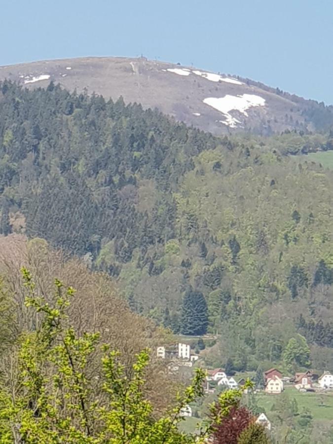 Petit Week End Dans La Vallee Breitenbach-Haut-Rhin 외부 사진