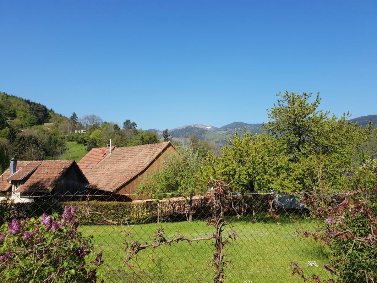 Petit Week End Dans La Vallee Breitenbach-Haut-Rhin 외부 사진