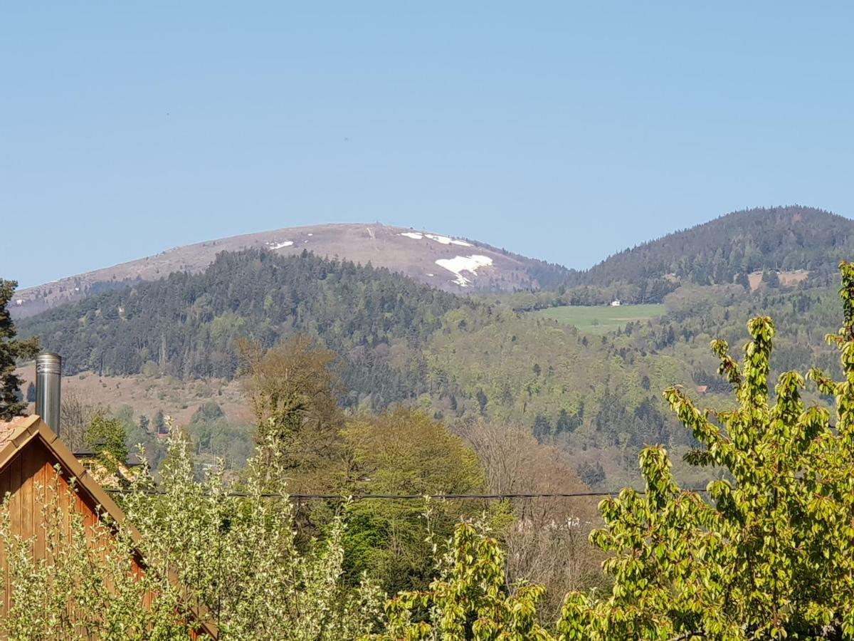 Petit Week End Dans La Vallee Breitenbach-Haut-Rhin 외부 사진