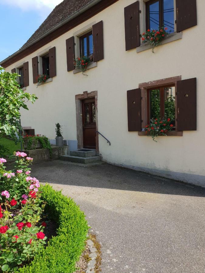Petit Week End Dans La Vallee Breitenbach-Haut-Rhin 외부 사진