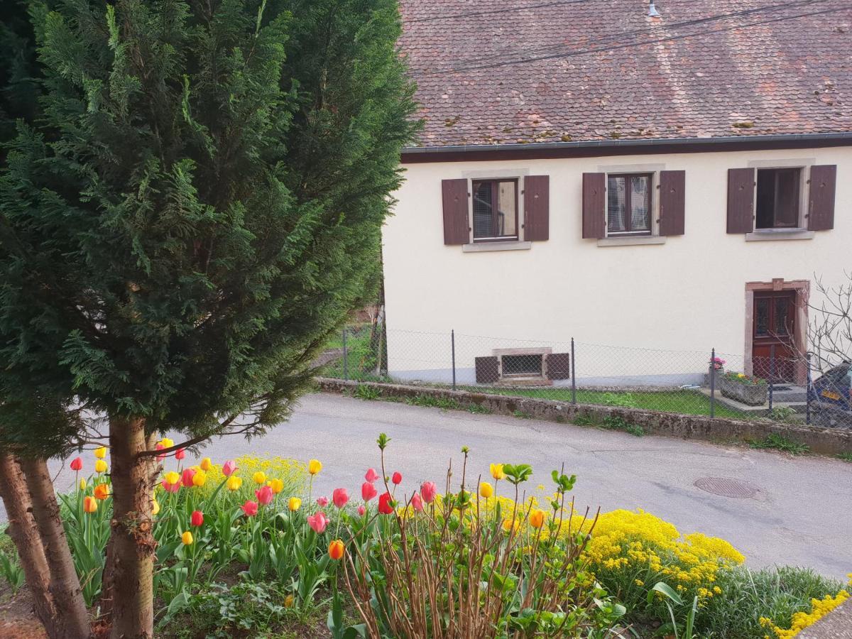 Petit Week End Dans La Vallee Breitenbach-Haut-Rhin 외부 사진